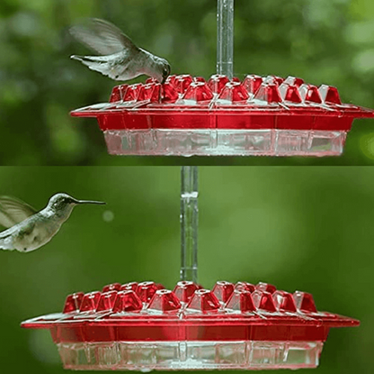 Ant Proof Hummingbird Feeder with Outdoor Hanging Perch