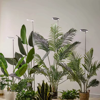 Grow Light for Indoor Plants, Full Spectrum LED Plant Lamp