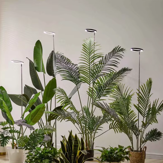 Grow Light for Indoor Plants, Full Spectrum LED Plant Lamp