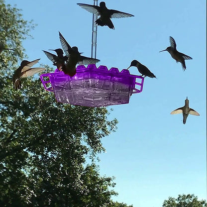 Ant Proof Hummingbird Feeder with Outdoor Hanging Perch