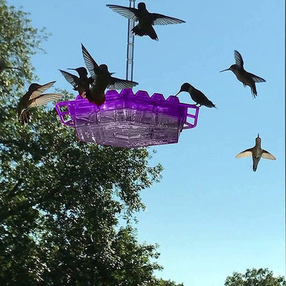 Ant Proof Hummingbird Feeder with Outdoor Hanging Perch