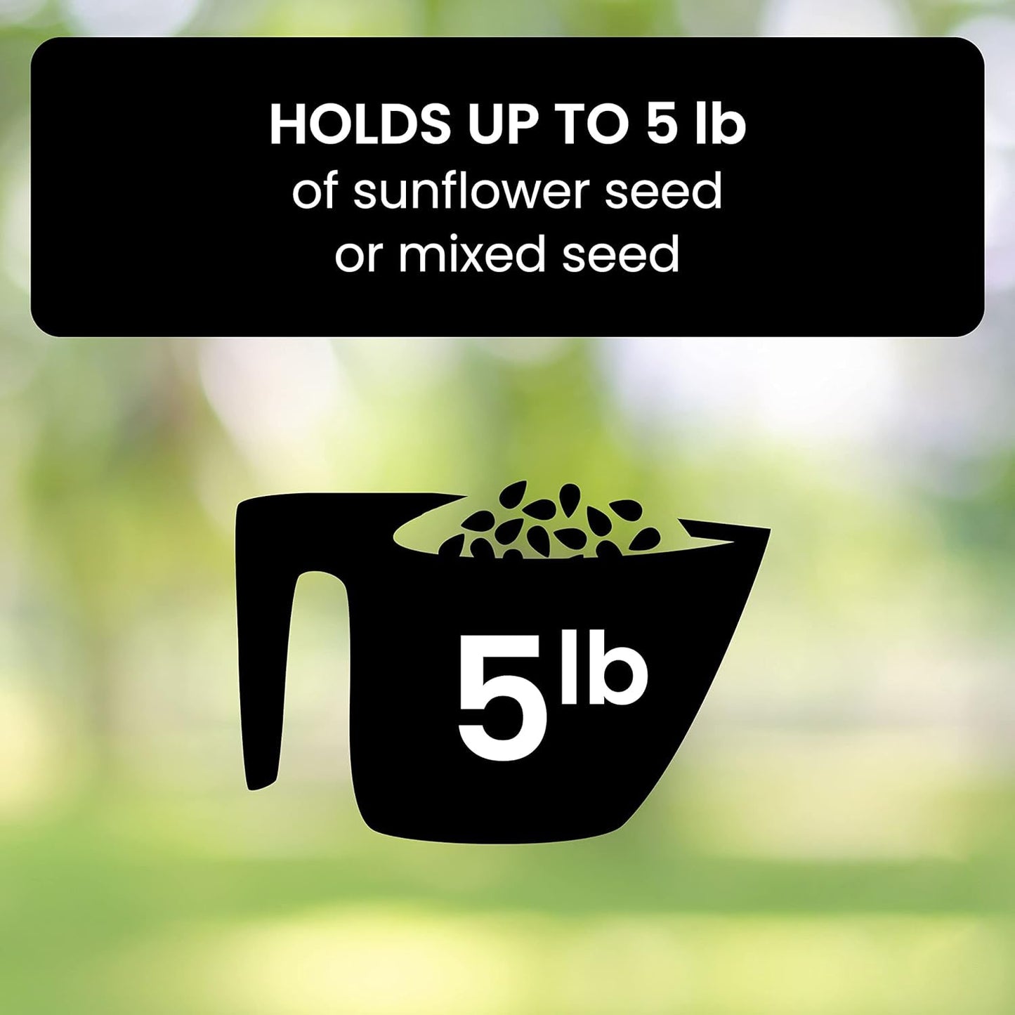 Squirrel Proof Bird Feeder with Durable Design