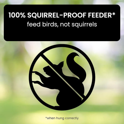 Squirrel Proof Bird Feeder with Durable Design