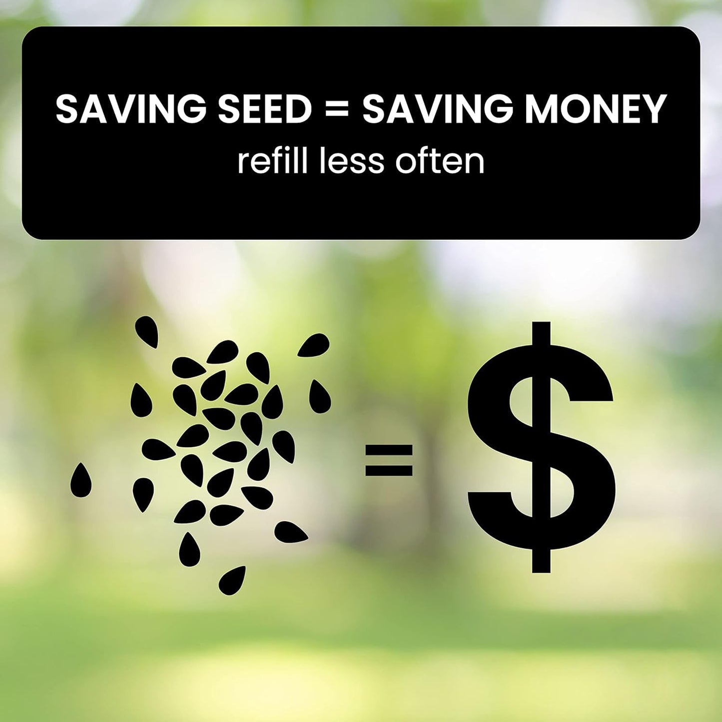 Squirrel Proof Bird Feeder with Durable Design