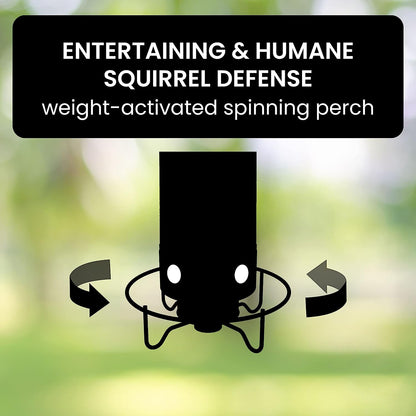 Squirrel Proof Bird Feeder with Durable Design