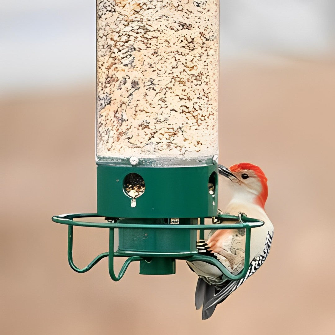 Squirrel Proof Bird Feeder with Durable Design