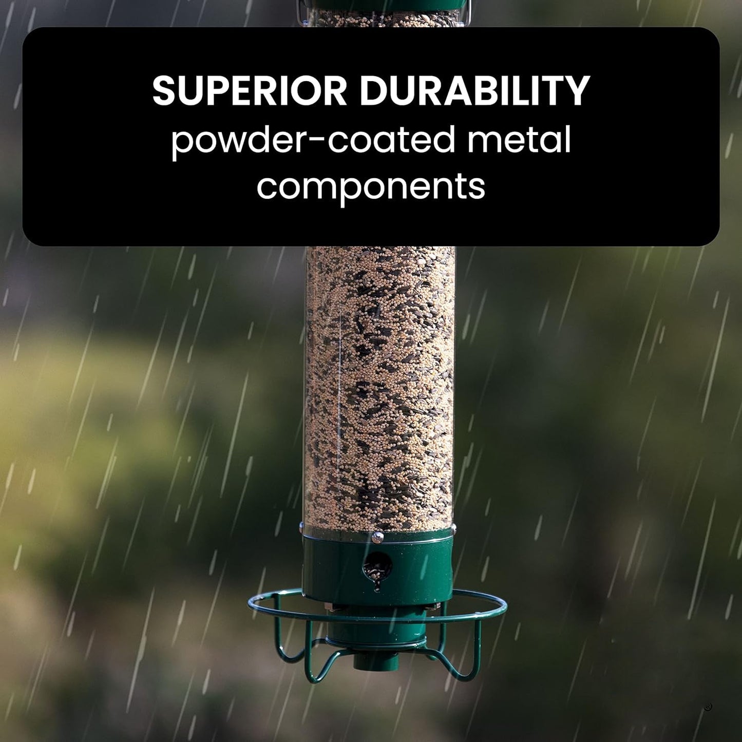 Squirrel Proof Bird Feeder with Durable Design