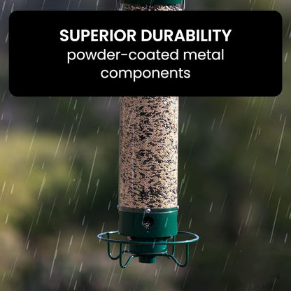 Squirrel Proof Bird Feeder with Durable Design
