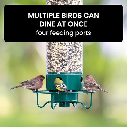 Squirrel Proof Bird Feeder with Durable Design
