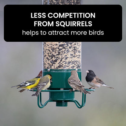 Squirrel Proof Bird Feeder with Durable Design
