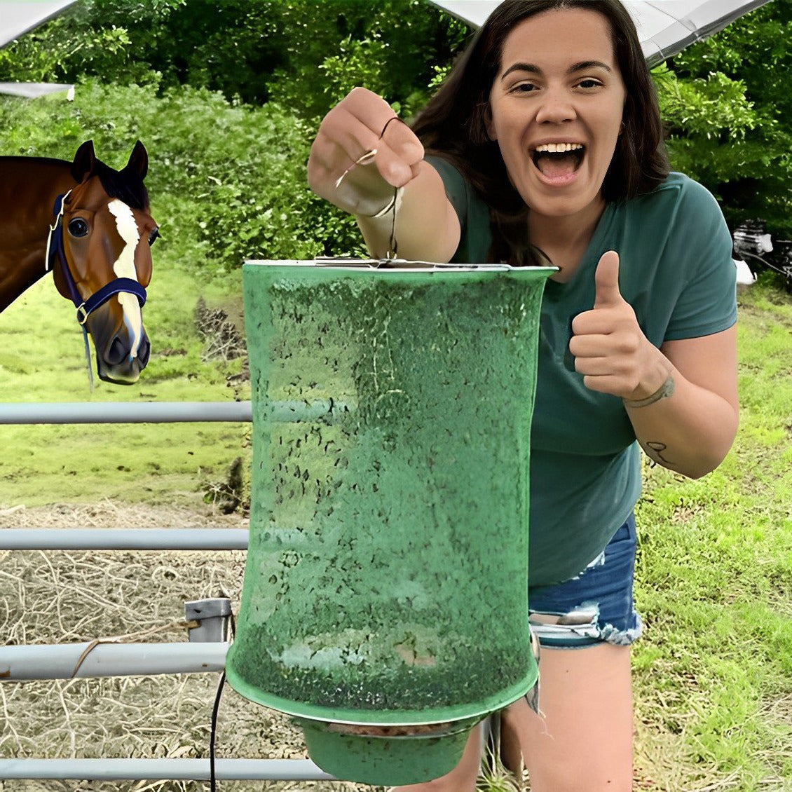 Stable Fly Trap for Effective Insect Control