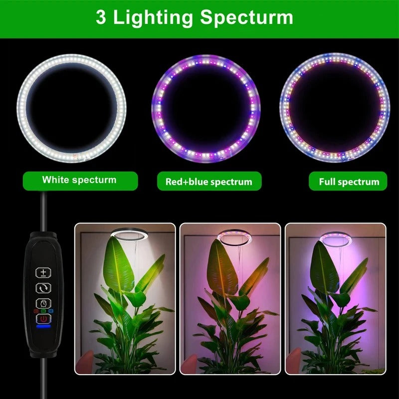 Grow Light for Indoor Plants, Full Spectrum LED Plant Lamp