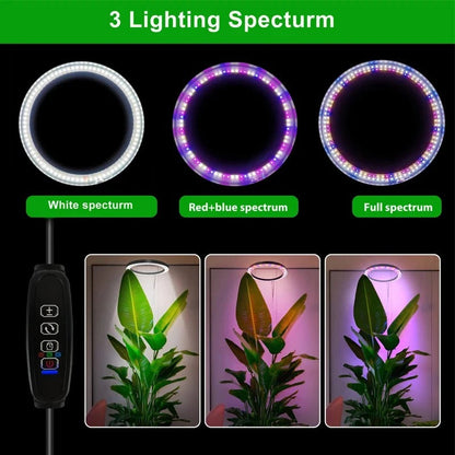 Grow Light for Indoor Plants, Full Spectrum LED Plant Lamp