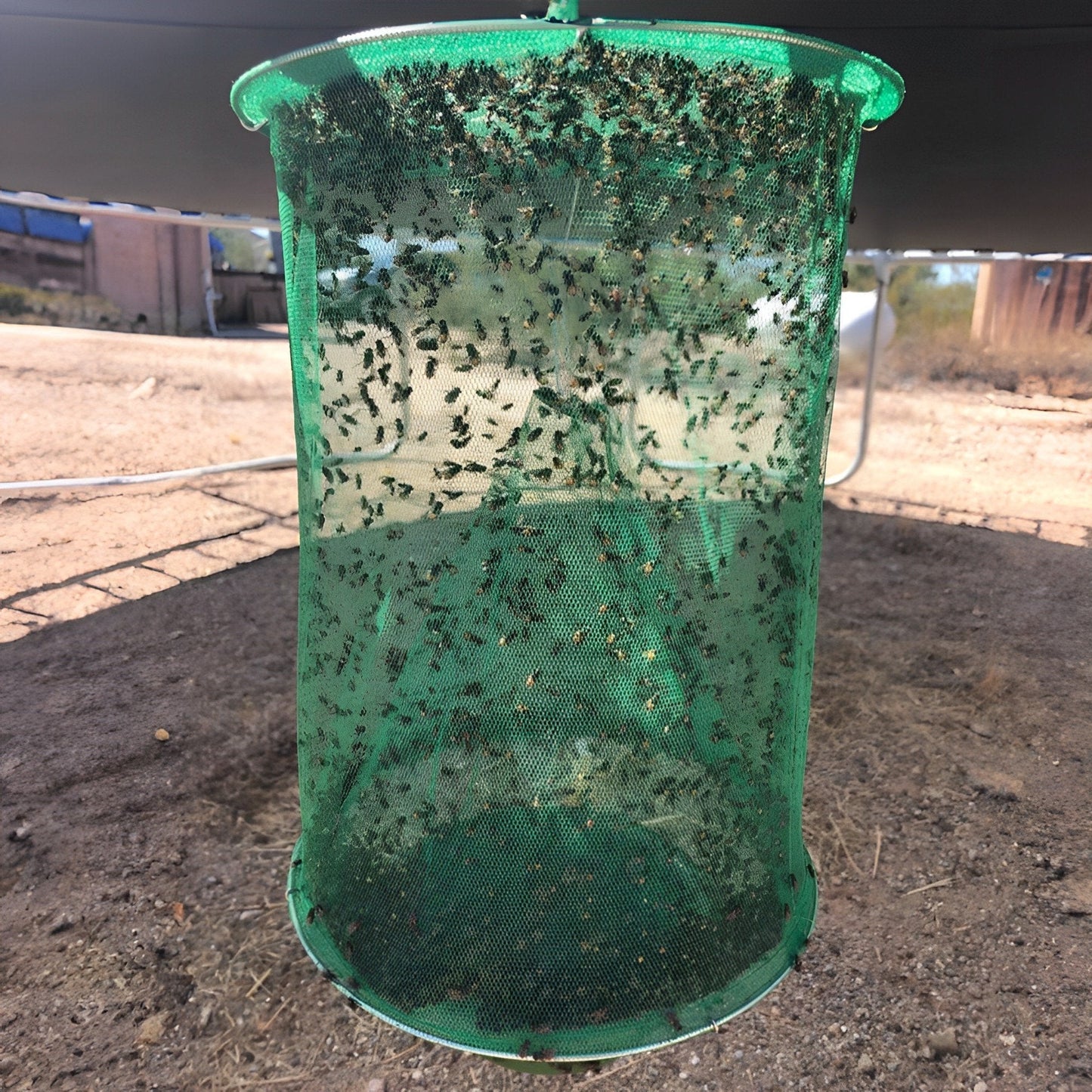 Stable Fly Trap for Effective Insect Control
