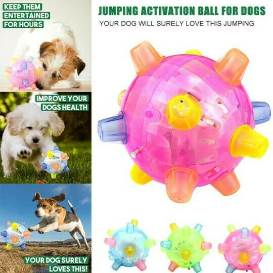 Jumping Activation Ball for Dogs, Interactive Play Toy