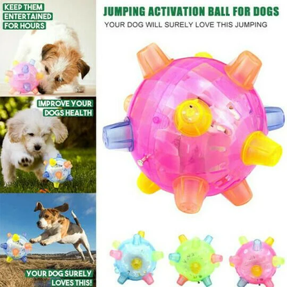 Jumping Activation Ball for Dogs, Interactive Play Toy
