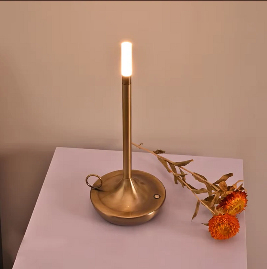 Rechargeable Touch Table Lamp with Adjustable Brightness