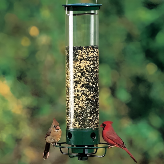 Squirrel Proof Bird Feeder with Durable Design